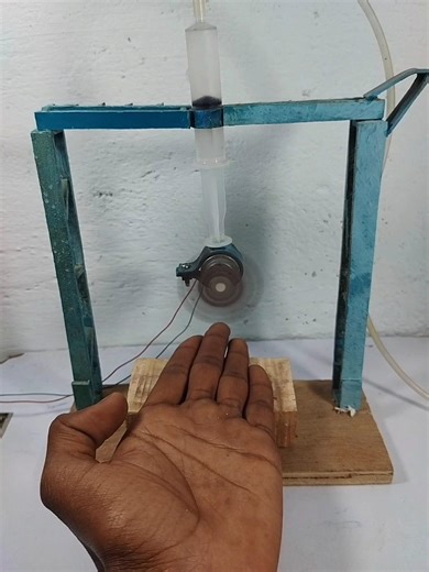 Nail Cutter test #shorts #cutter