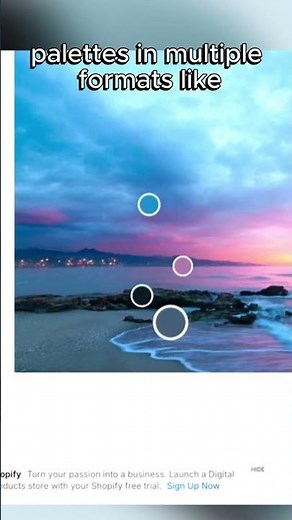 Color palettes with Coolors