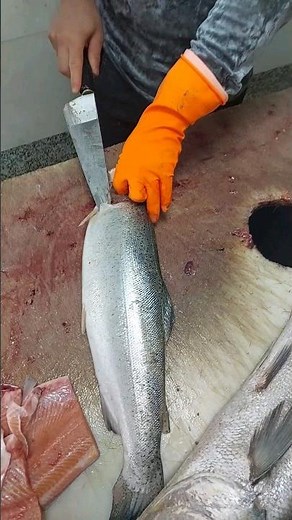 How to Fillet a Fish (Salmon): A Beginner's Guide