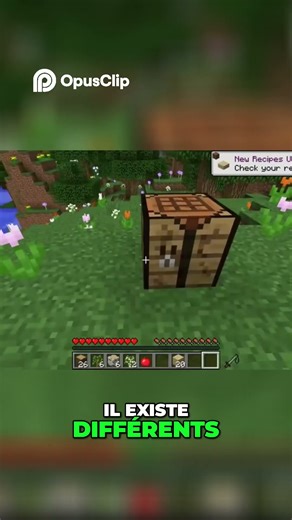 Minecraft: Create Your Infinite and Playful Universe!