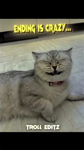 Crazy Cat 💀#trollface #trollfaceedit #shorts