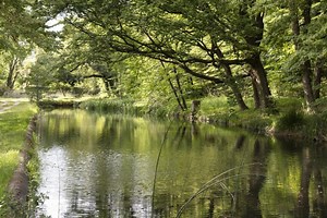 Les projets de territoire pour la gestion de l'eau (PTGE) au service d'une agriculture durable