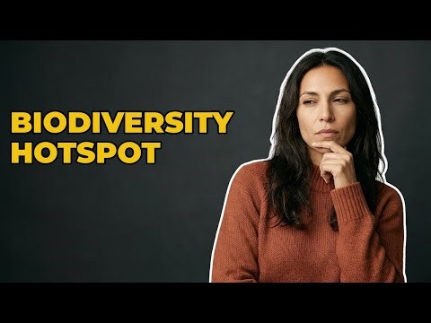 Why Is Santa Cruz Island's Ecosystem Important?