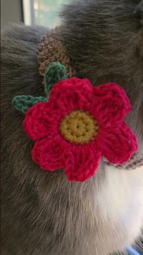 Crochet Cat collar