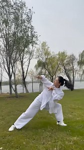 ⚡Explosive and unpredictable Praying Mantis kung fu showcased by a folk master. Praying Mantis Fist is renowned for its lightning speed and its distinctive use of wrist and arm techniques. The style mimics how a mantis moves — quick hooks, sharp grabs, and strikes that come out of nowhere. Video via 武术王冰 #martialarts #martialartslife #wushu #kungfu #kungfulife #training #trainingmotivation #imitate #animals #TGIF | All about Martial Arts