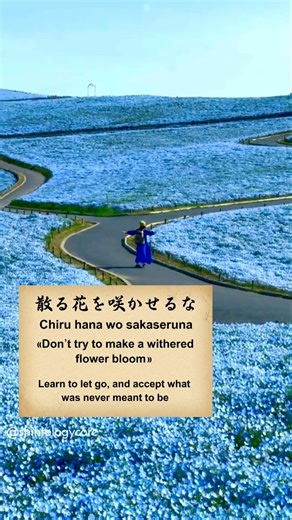 don't try to make a withered flower bloom_ Japanese proverb