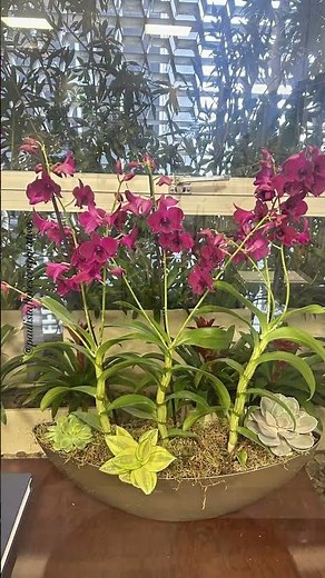Delicados Arranjos feitos para as nossas empresas parceiras #paisagismo #arranjos #floricultura