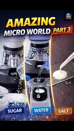 Sugar, Water & Salt Under Microscope 😱 | Micro World Part 3