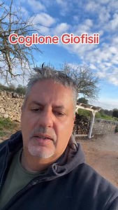 Alex Fiorio on Reels