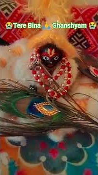 😭🙏😭Tere #Bina #Ghanshyam# Mera# Dil #naiyo #lagda#