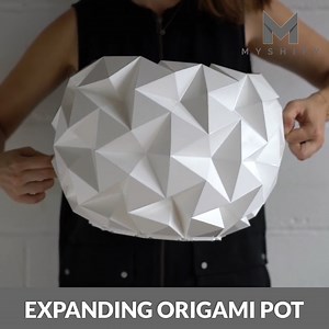 4.6K views · 170 reactions | This flower pot adjusts its size to growing plants. | Myshify | Facebook