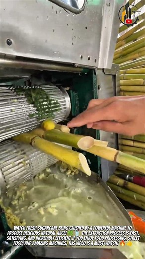 Sugarcane Juice Extraction Process #FoodProcessing #Satisfying 🥤🌿