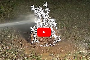 Molten Aluminum Poured Into Fire Ant Colony Reveals Nest's Inner Structure