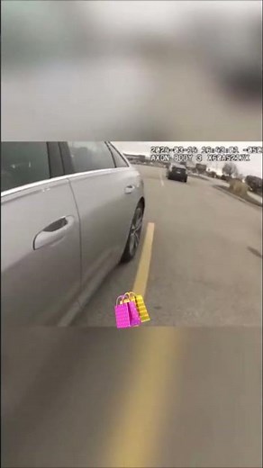 Sovereign Citizen vs Law Target Shoplifting Confrontation