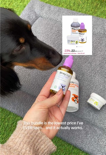 Effective Ear Drops for Itchy Dogs