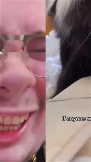 The cat breaks the laptop *Oh Lord Gee!* 🤣🤣🤣 #funnycats