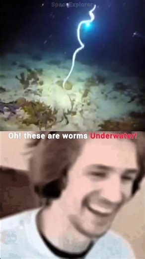 Worm exploded underwater! #ocean#shorts #virall #earth