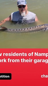 David Williams on Reels