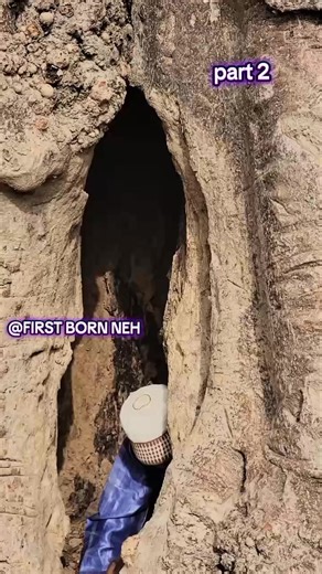 Exploring the Animated Short Film 'First Born' - Part 2