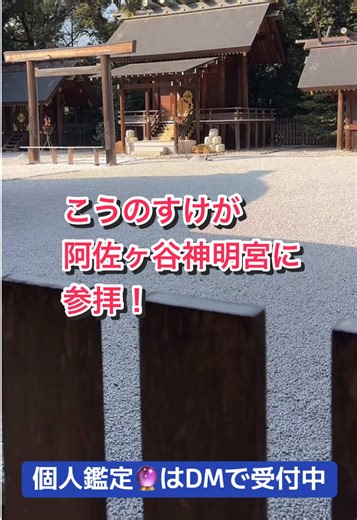 阿佐ヶ谷神明宮参拝のスピリチュアル体験