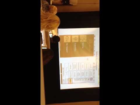 Scanning on the Baby Lock Destiny