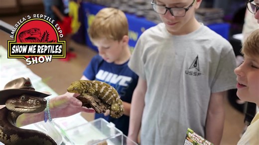 🎉 Are You Ready? Feb15th Experience the excitement of the Show Me Reptile Show! 🐍🦎🐢 Come explore the largest and most diverse reptile expo in the country when we roll in to your town! We bring fun, education, and adventure together for all ages! Whether you're a longtime reptile lover, an aspiring keeper, or just curious, this event is the perfect place to explore the amazing world of exotic animals. Our shows feature an outstanding lineup of top breeders and trusted vendors offering: 🦎 Rep