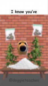 39K views · 1.5K reactions | Doggie Explains How to Profit from Candy...