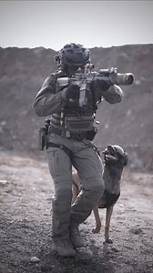 29K views · 1.1K reactions | Tactical Position Training with K9 #dogtraining #fyp #military #tacticool #k9handler #tactical #dogsoftiktok | Military dogs | Facebook