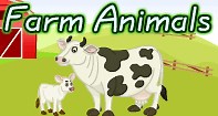 Farm Animals