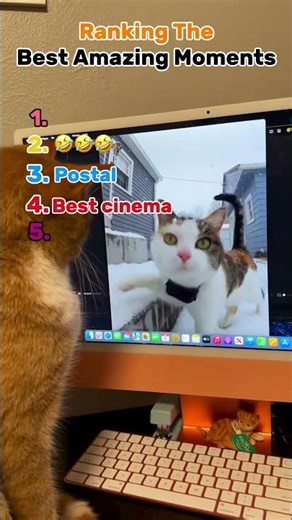 Ranking is the best amazing moments #entertaininganimals #funny