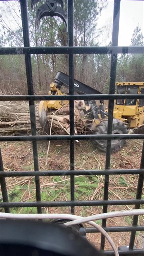 Actual speed😉#logging #fyp #trending #viralvideo #viral @Bryan Horton