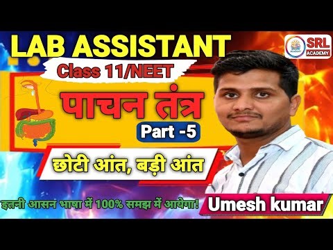 Small Intestine & Large Intestine – संरचना और कार्य | Digestive System |पाचन तंत्र-5|Lab Assistant
