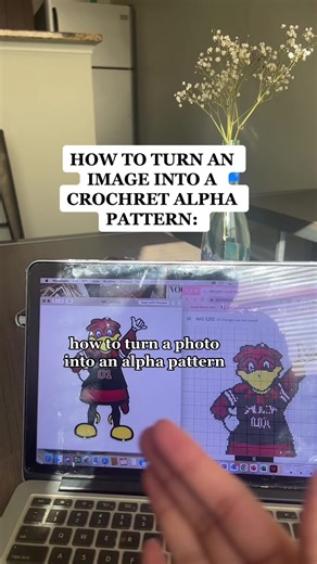 How to Create Crochet Alpha Patterns from Images