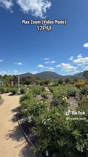 iPhone 17e vs 17 vs 17 Pro Max: Max Video Zoom Test