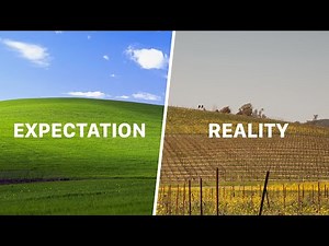 I Found the Windows XP Wallpaper