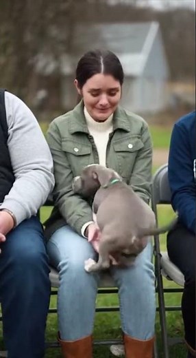 When Dogs Choose Their Humans 💛 | Real Adoption Stories