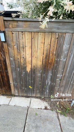 Fence Restoration: Powerful Cleaning & Repair by Expert Contractor