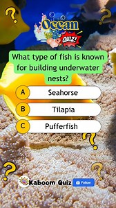 What type of fish is that? #quiz #quiztime #quizreels #popquiz #triviaquiz #generalknowledgequiz #braingame #educational #trivia #biology #oceanquiz #sciencequiz | Kaboom Quiz
