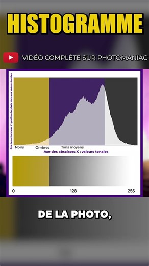 Histogram in Photo: How is it Created by the Camera?
