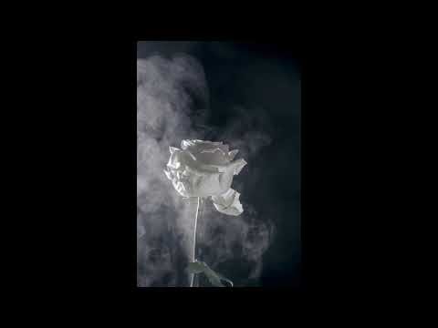 1 Hour Nebulizer Sound 🌫️ | Deep Breathing, Relaxation & Sleep Aid