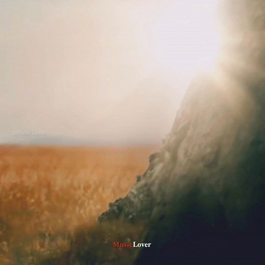 Pop (Mashup)🌺🖤 | 𝗠𝘂𝘀𝗶𝗰 𝗟𝗼𝘃𝗲𝗿