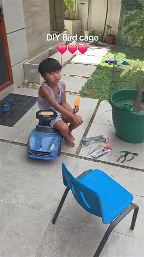 Built this DIY bird cage from scratch to give my parakeets a safe and comfy home.