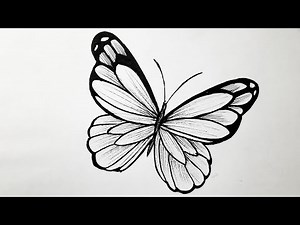 How to draw butterfly easy step by step || Butterfly drawing