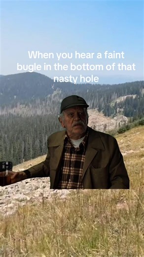 The Pursuit of Every Bugle: Elk Hunting Adventures