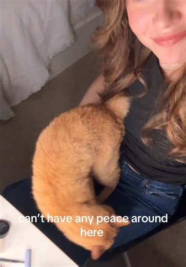 get hype spring break vlogs coming very soon 👏🏻👏🏻👏🏻