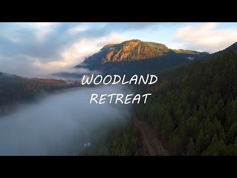 Building A Timber Framed Cabin - Part 1 - Off The Grid - Clearing The Area