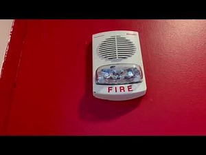 Fire Alarm going off at University Of Houston: Simplex TrueAlert Speaker Strobe