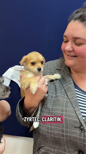 Puppy Palooza at Valley Humane Society | Pleasanton, CA