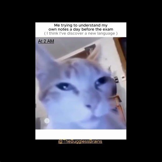 POV: You're a stranger👽 reading your own notes💔📚😶#coding #programming #memes #shorts