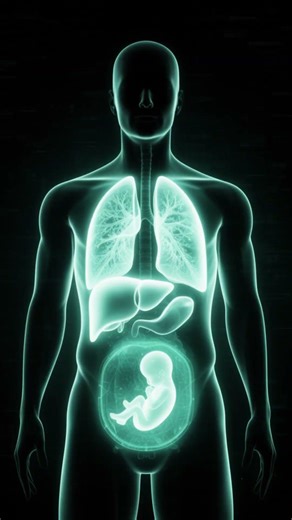 You Inhale 70,000 Pieces of Plastic Every Year 😳 #facts #foodfacts